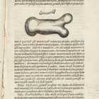 Illustration from Galileo�s Two New Sciences (1638).